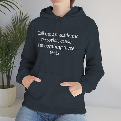 Academic Terrorist Hoodie