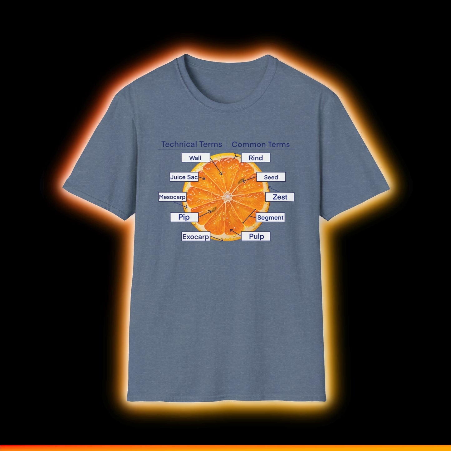 Literally Just a Shirt With a Diagram of An Orange On It