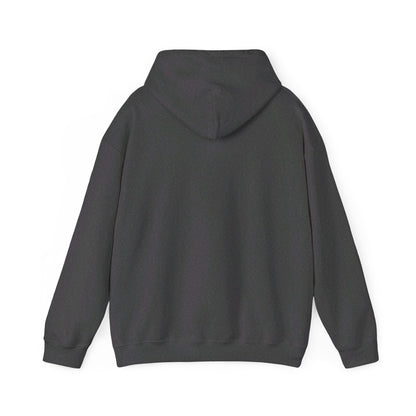 The Big Reveal Classic Hoodie