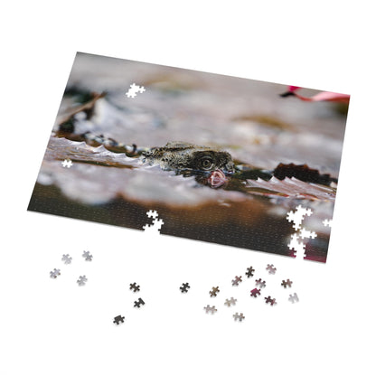 Australian Iguana Puzzle