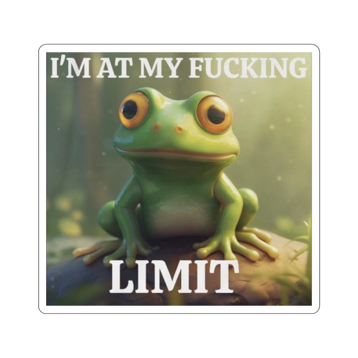 I'm at my fucking limit sticker