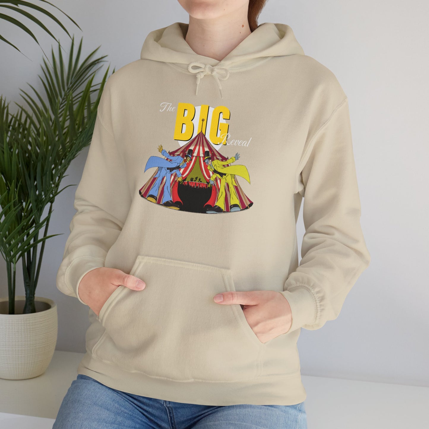 The Big Reveal Carnival Hoodie