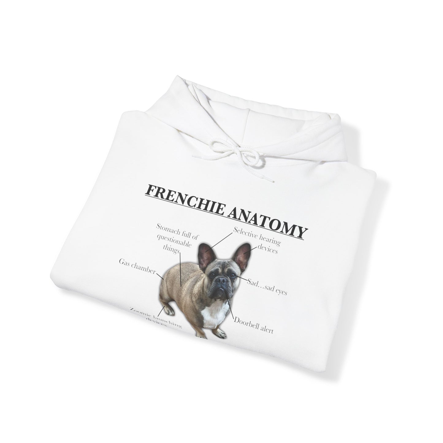 Frenchie Anatomy Hoodie