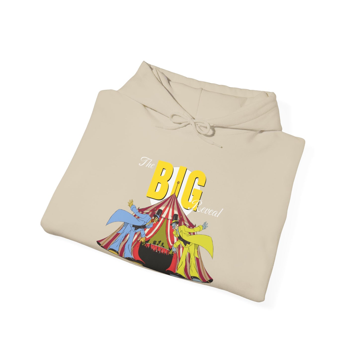 The Big Reveal Carnival Hoodie