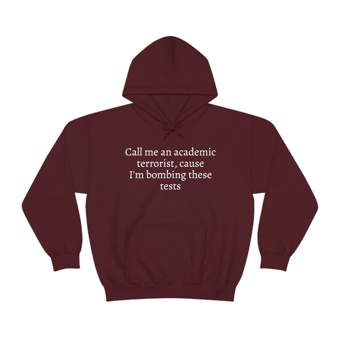 Academic Terrorist Hoodie