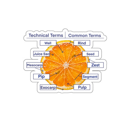Diagram of an orange sticker