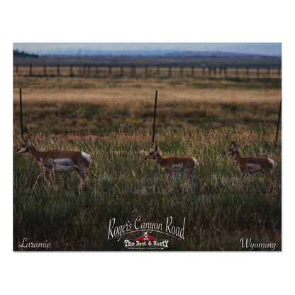 Rogers Canyon Antelope Puzzle