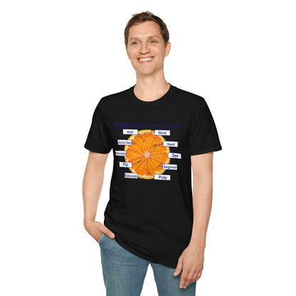 Literally Just a Shirt With a Diagram of An Orange On It