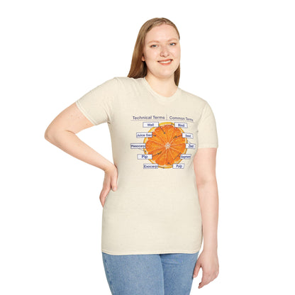 Literally Just a Shirt With a Diagram of An Orange On It