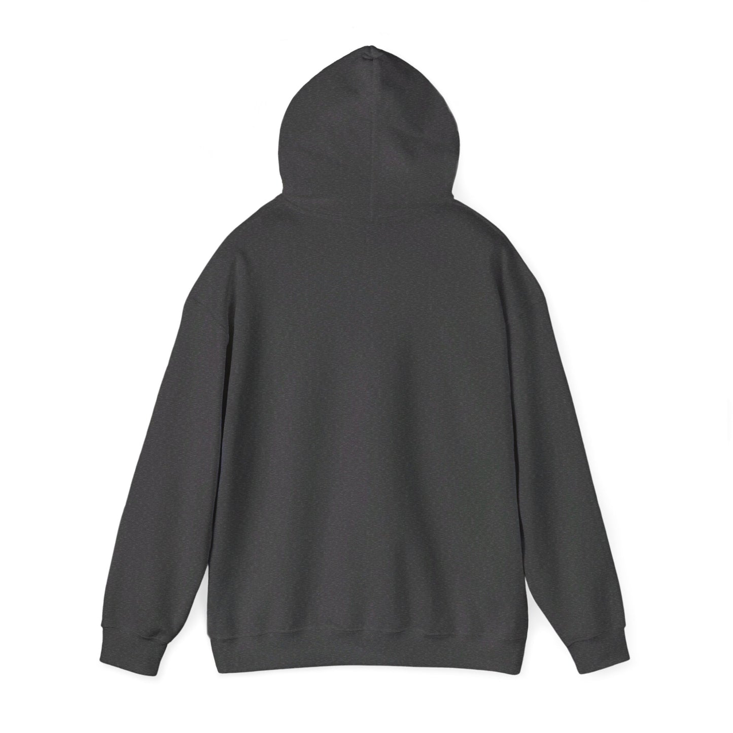 The Big Reveal Classic Hoodie