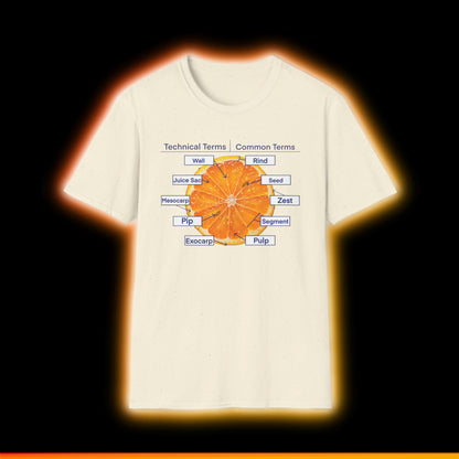 Literally Just a Shirt With a Diagram of An Orange On It