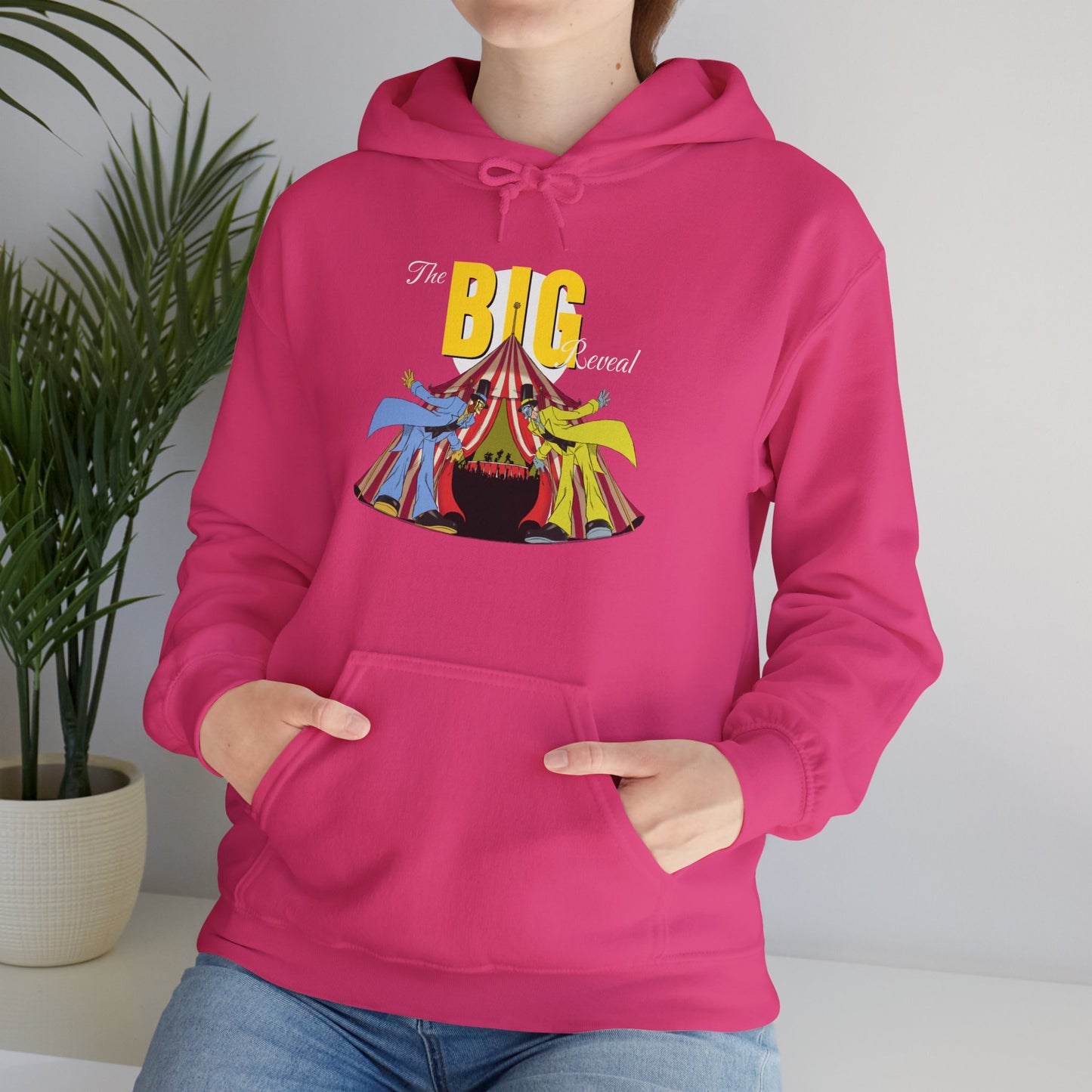 The Big Reveal Carnival Hoodie