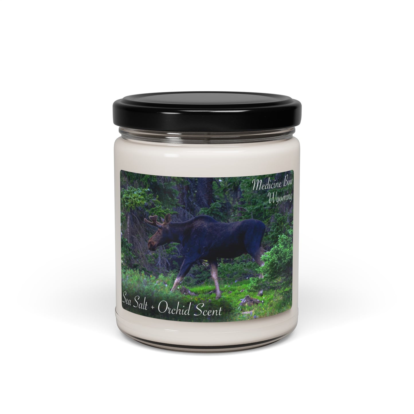 Medicine Bow Moose Candle