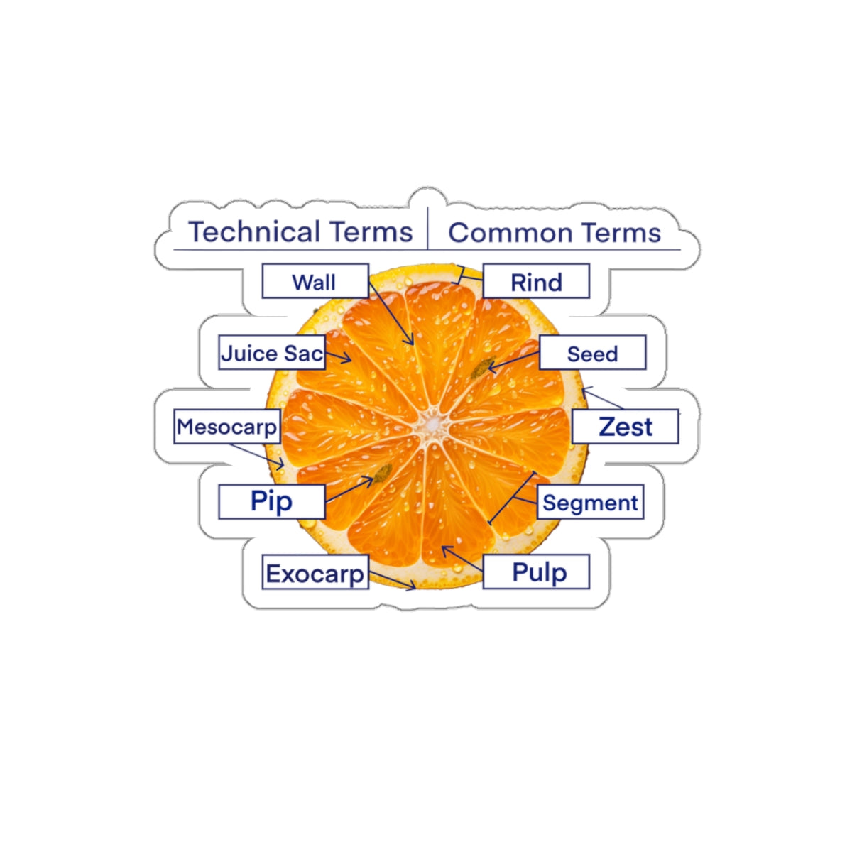 Diagram of an orange sticker