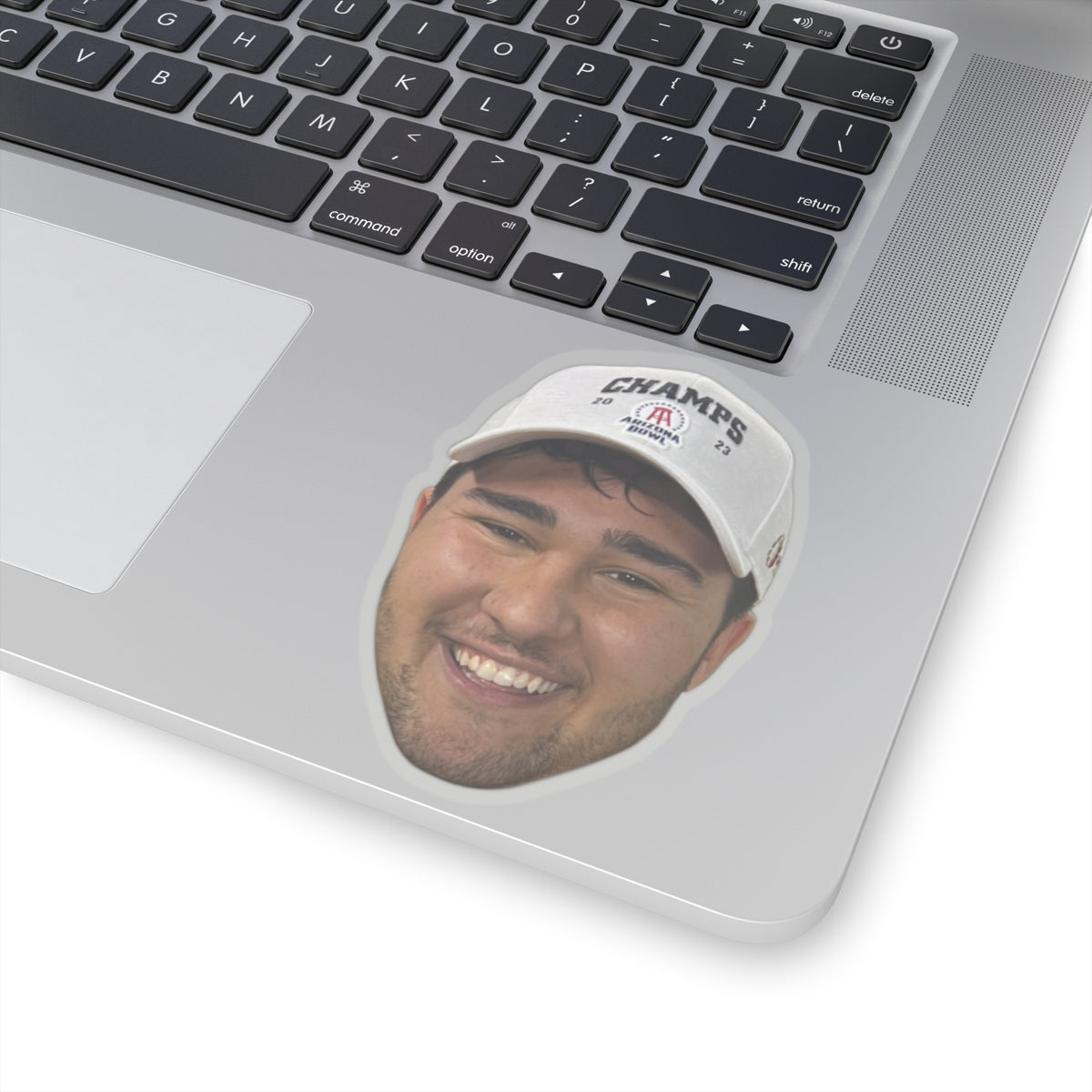 Rex's Face Stickers