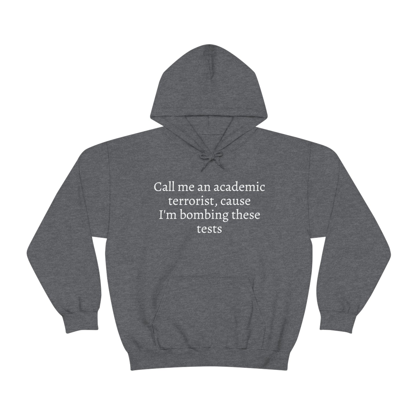 Academic Terrorist Hoodie