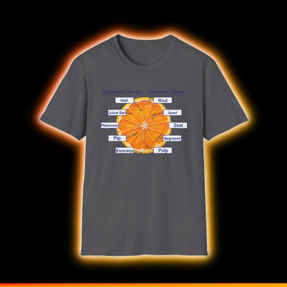 Literally Just a Shirt With a Diagram of An Orange On It