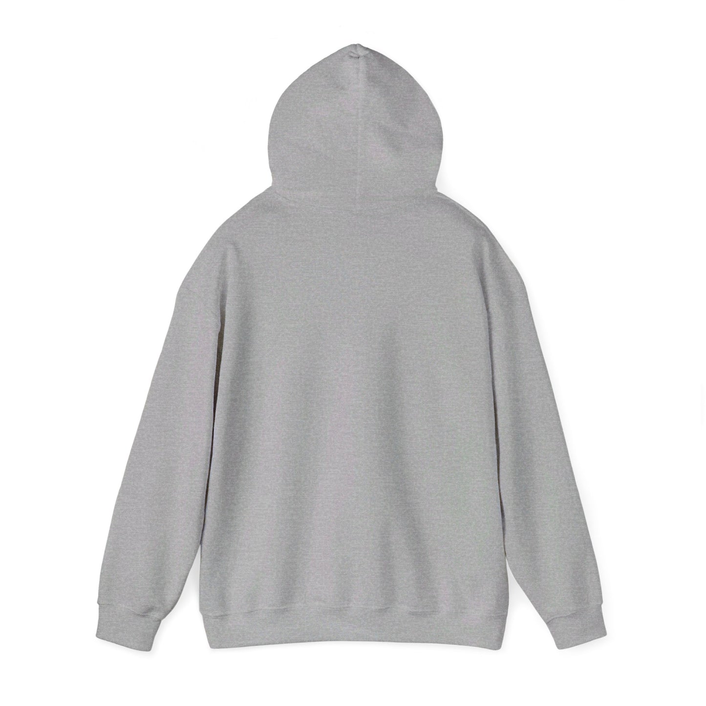 The Big Reveal Classic Hoodie