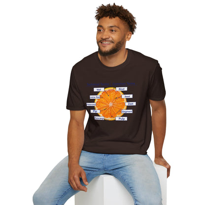 Literally Just a Shirt With a Diagram of An Orange On It