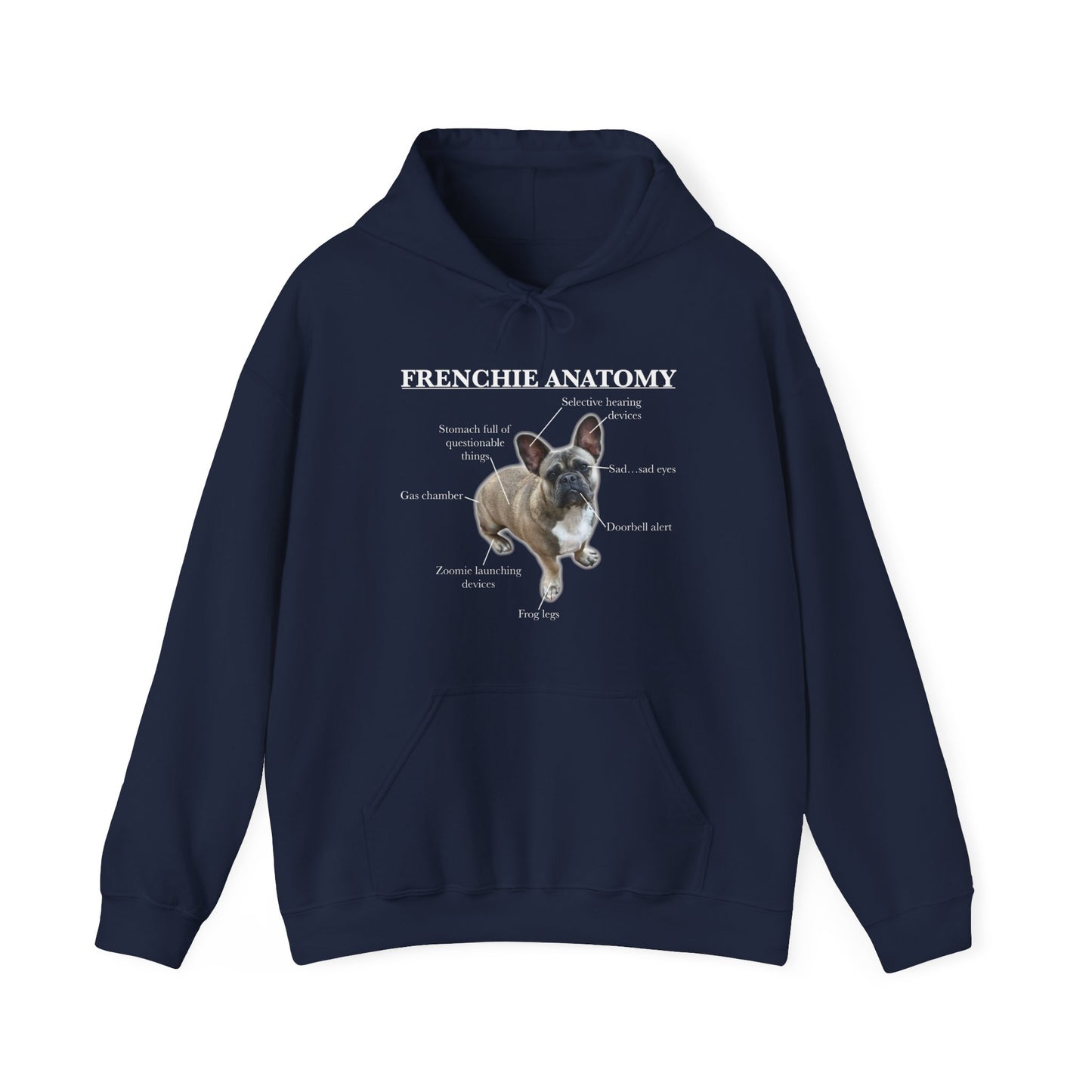 Frenchie Anatomy Hoodie