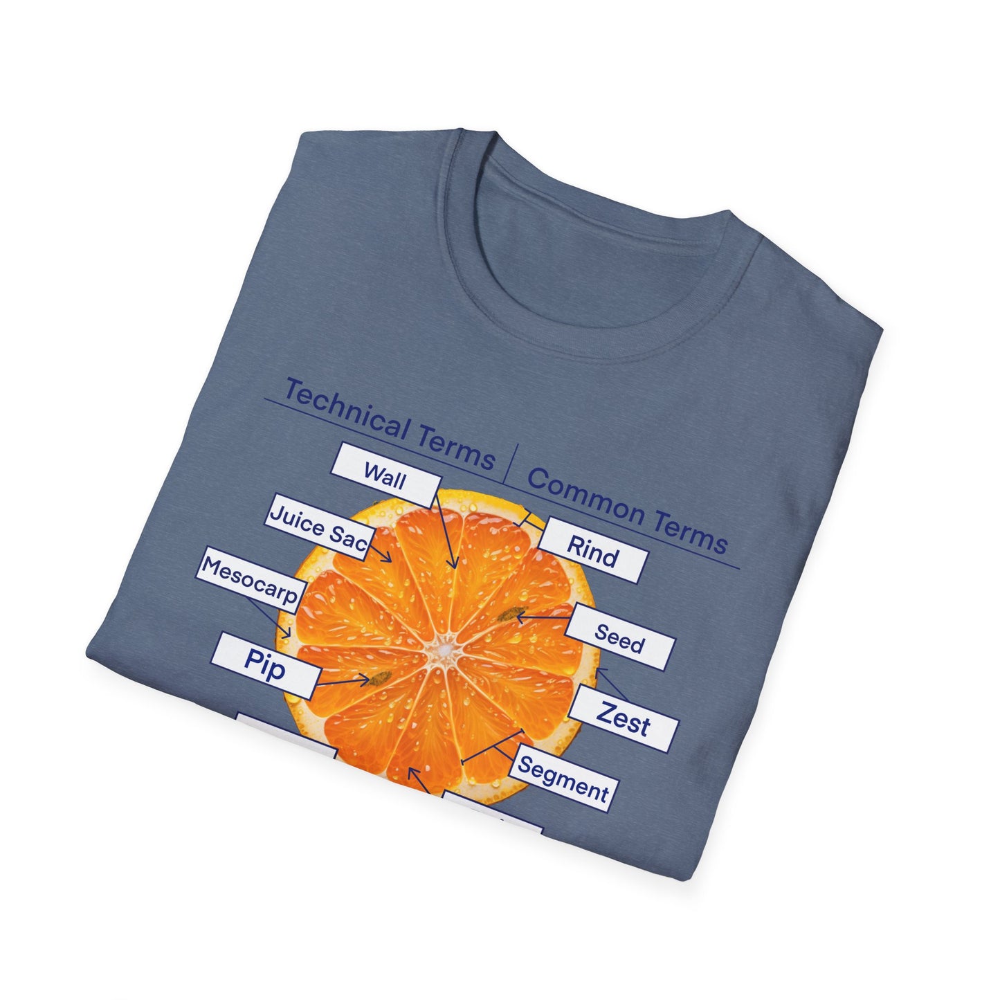 Literally Just a Shirt With a Diagram of An Orange On It