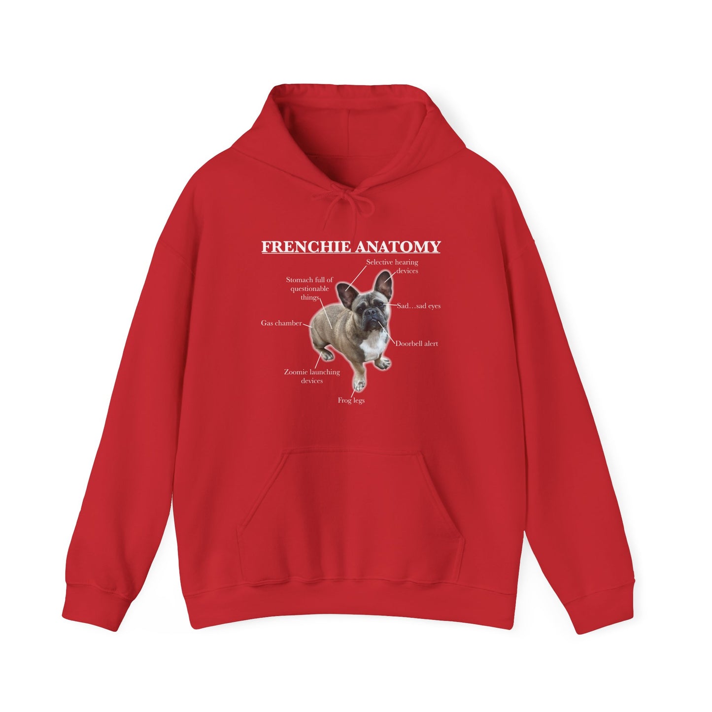 Frenchie Anatomy Hoodie